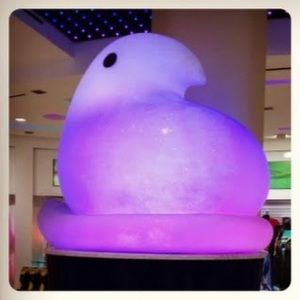 Meet your Posher, Donna w